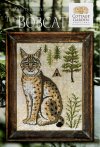 A Year in the Woods II