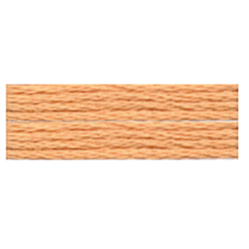 Cosmo Embroidery Floss - 127