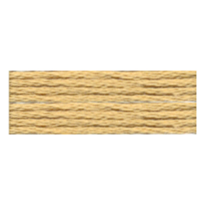 Cosmo Embroidery Floss - 307