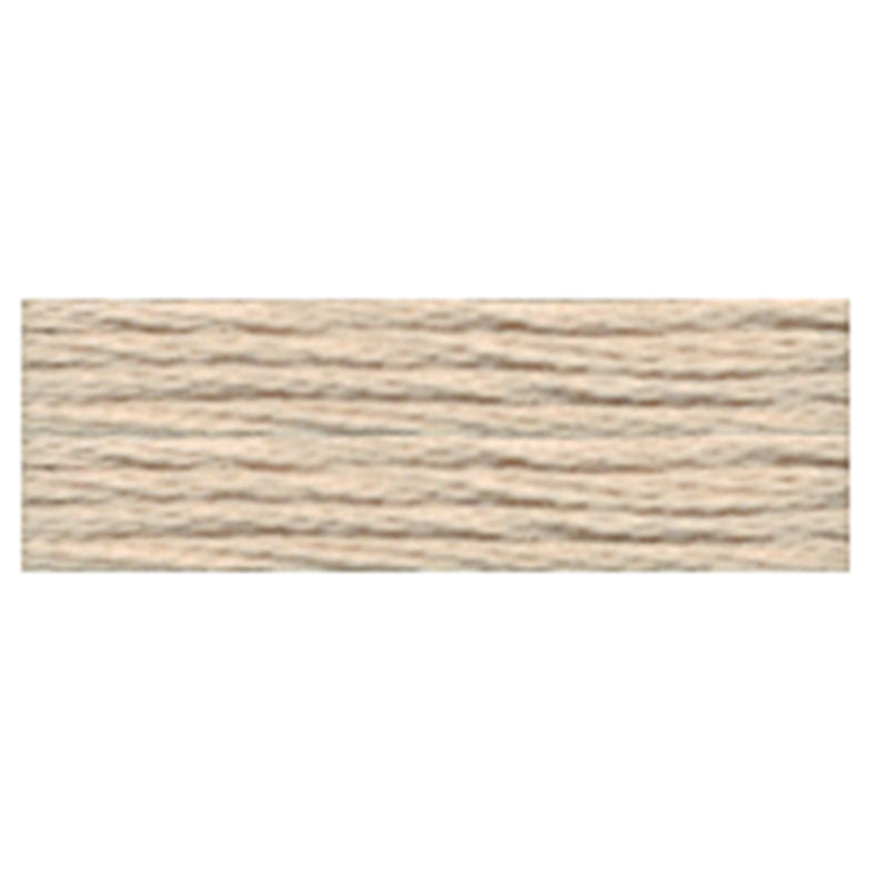 Cosmo Embroidery Floss - 381