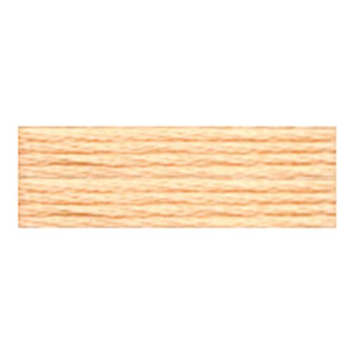Cosmo Embroidery Floss - 341