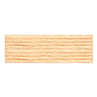 Translation missing: en.Cosmo Embroidery Floss - 341