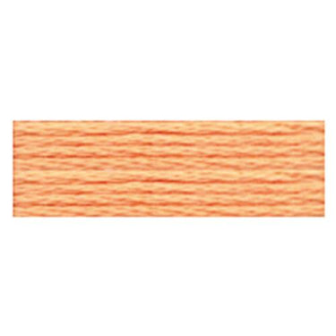 Translation missing: en.Cosmo Embroidery Floss - 2341