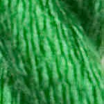 Vineyard Silk Classic Silk