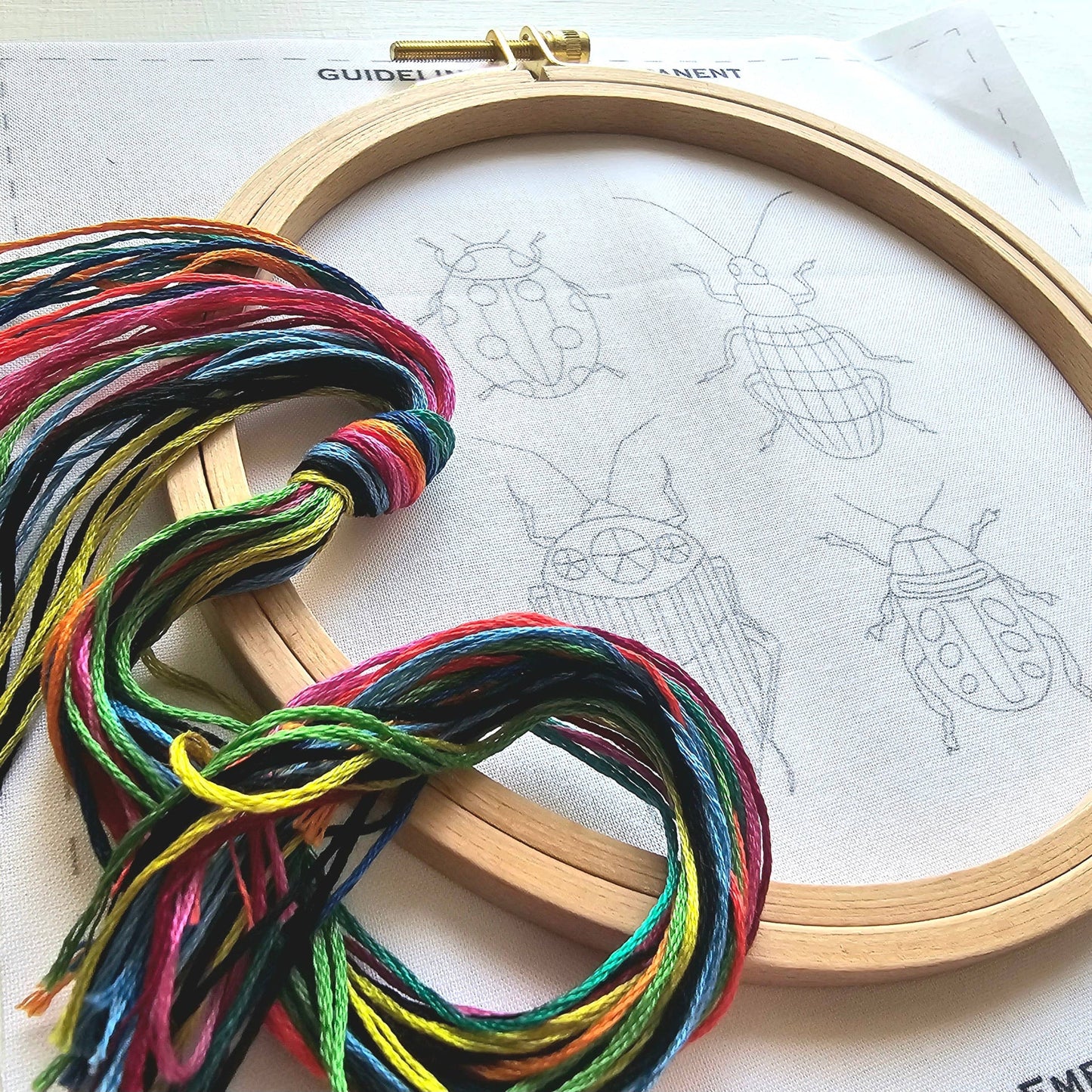 Beetle Collection Embroidery Kit by Jessica Long
